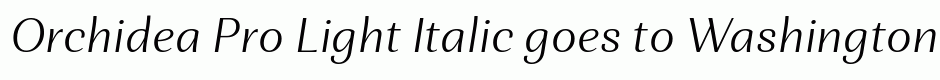 Orchidea Pro Light Italic