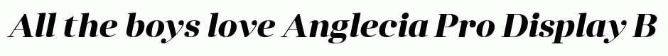 Anglecia Pro Display Bold Italic