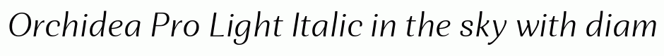 Orchidea Pro Light Italic