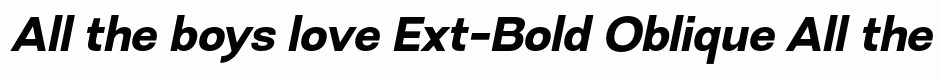 Ext-Bold Oblique