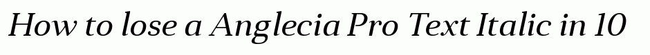 Anglecia Pro Text Italic