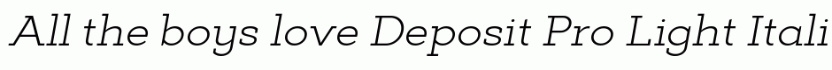 Deposit Pro Light Italic