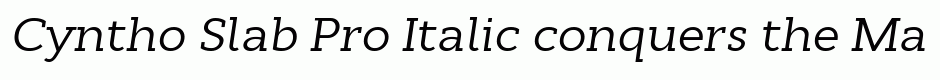 Cyntho Slab Pro Italic