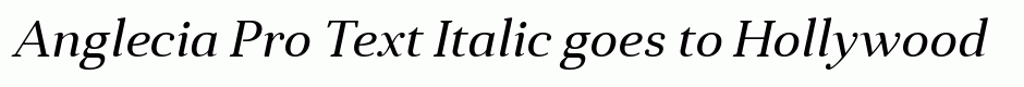 Anglecia Pro Text Italic