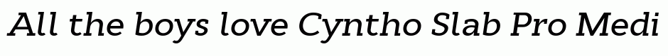 Cyntho Slab Pro Medium Italic
