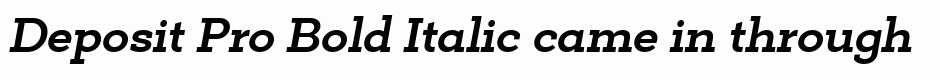 Deposit Pro Bold Italic