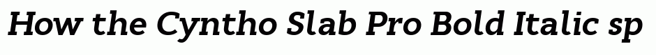 Cyntho Slab Pro Bold Italic