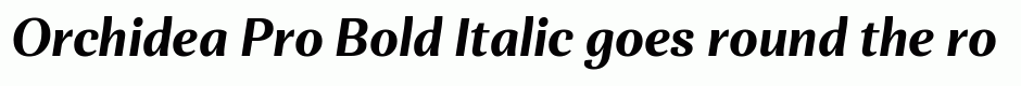 Orchidea Pro Bold Italic