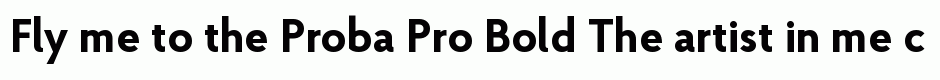 Proba Pro Bold