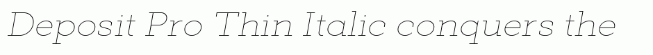 Deposit Pro Thin Italic