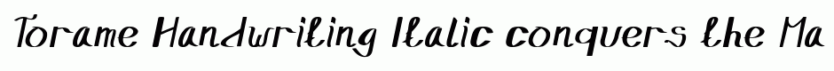 Torame Handwriting Italic