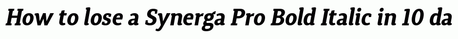 Synerga Pro Bold Italic