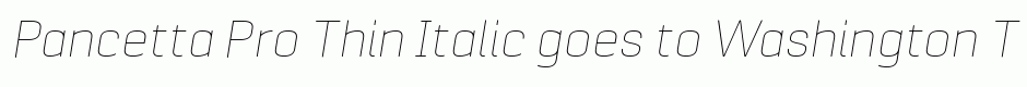 Pancetta Pro Thin Italic