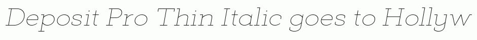 Deposit Pro Thin Italic