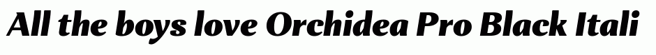 Orchidea Pro Black Italic