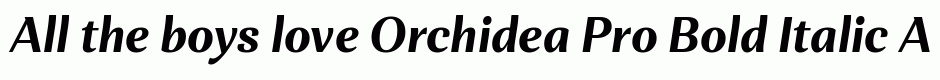 Orchidea Pro Bold Italic