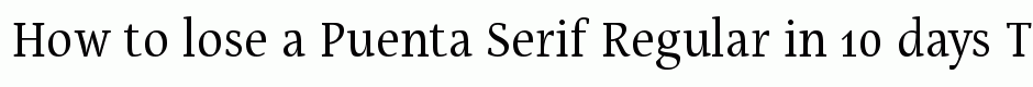 Puenta Serif Regular