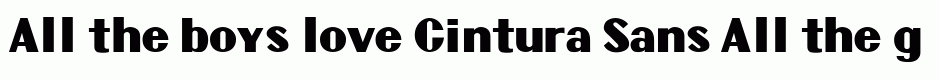 Cintura Sans