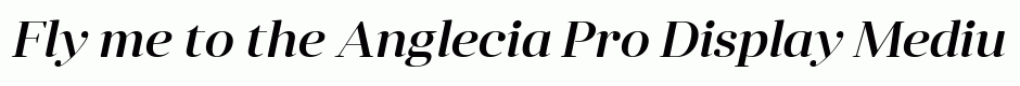 Anglecia Pro Display Medium Italic