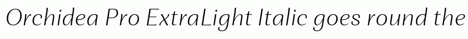 Orchidea Pro ExtraLight Italic