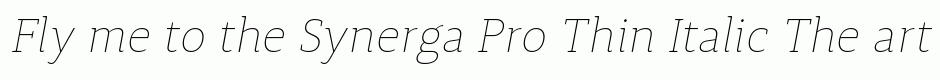 Synerga Pro Thin Italic