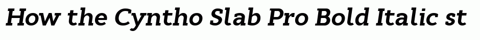 Cyntho Slab Pro Bold Italic