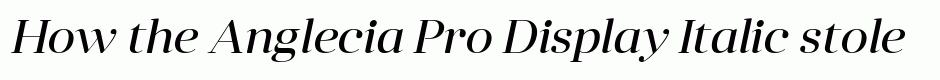 Anglecia Pro Display Italic