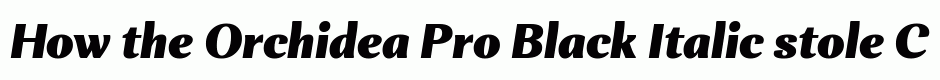 Orchidea Pro Black Italic