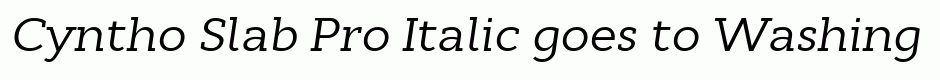 Cyntho Slab Pro Italic