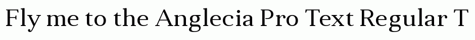 Anglecia Pro Text Regular